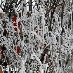 Winter day