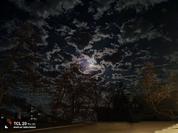The night sky