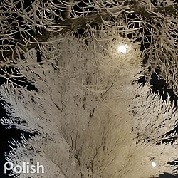 Frosty