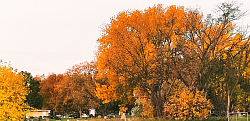 A splash of fall