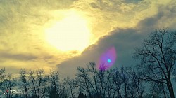 Morning Rays