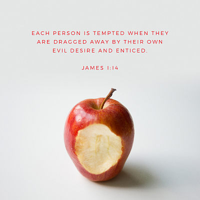 Quote and picture from the Bible App