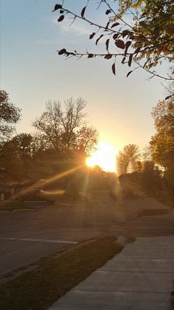 Morning Sun