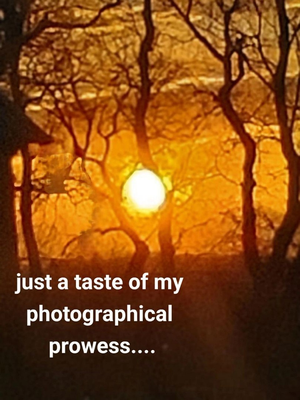 One day I stepped back when I gazed upon this marvelous sunset. It reminds me of the Serengeti of the African plains.