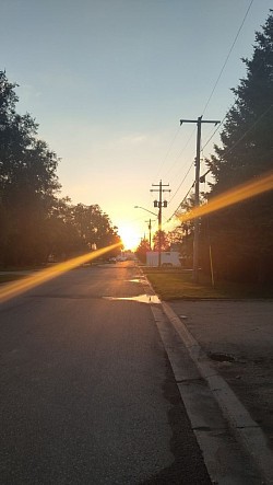 A fall morning in 2024. (This shot is all natural lighting, no filters or anything extra used.)