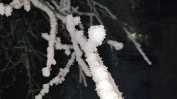 Lucious spring snow-fall closeup