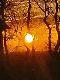 While in the country N.W. of Plum Coulee, the sunset was too die for.